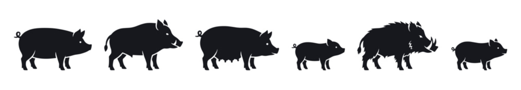 Various black silhouettes of pigs and wild boars, including a domestic pig, a sow, a piglet, and a bristly wild boar with tusks, presented in a graphic, iconic style
