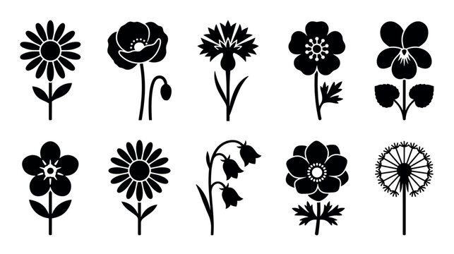 Various stylized black flower silhouettes are arranged in a clean, graphic collection, showcasing different botanical shapes and forms with a minimalist aesthetic