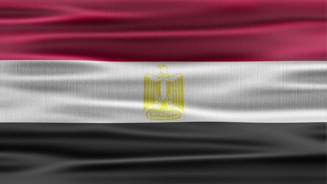 Egypt flag waving in the wind with high quality fabric texture