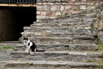 Ancient Masonry Steps between Stone Walls, Traditional Stone Architecture with Stairway