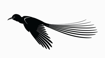 Obraz premium Black bird in flight silhouette graphic illustration isolated on white background
