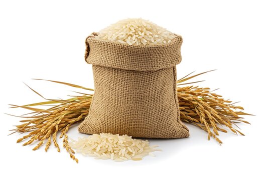 Burlap sack filled with rice grains and wheat stalks