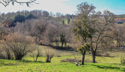 rando dans les Combrailles, Auvergne, 63