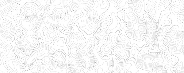 Technology abstract lines on white background. Undulate Grey Wave Swirl, frequency sound wave, twisted curve lines with blend effect.