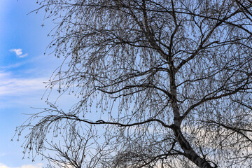 rando dans les Combrailles, Auvergne, 63