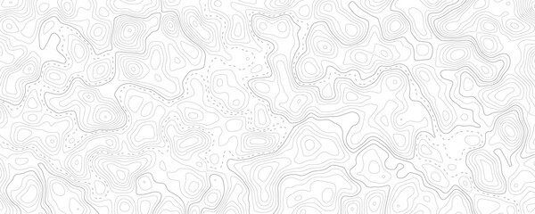 Obraz premium Technology abstract lines on white background. Undulate Grey Wave Swirl, frequency sound wave, twisted curve lines with blend effect.
