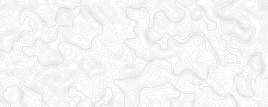 Technology abstract lines on white background. Undulate Grey Wave Swirl, frequency sound wave, twisted curve lines with blend effect.
