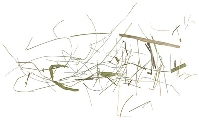Scattered straw grass isolated on a transparent background. Top view. PNG. © gangster9686