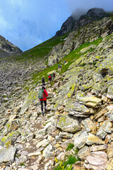Wanderweg von der Pizolh&uuml;tte zum Wildsee (5-Seen-Wanderroute) im Pizolmassiv, Kanton St. Gallen, Schweiz