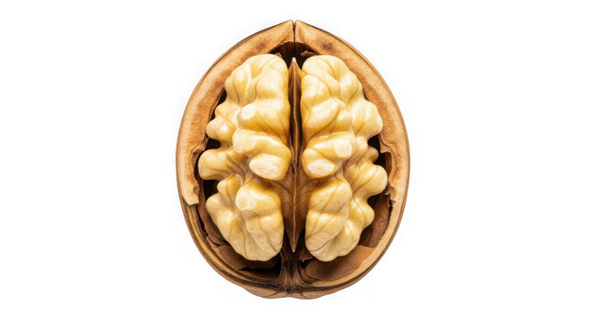 Open walnut shell with walnut kernel inside, isolated on transparent background