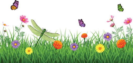 Colorful spring meadow landscape with green grass, blooming wildflowers, dragonfly, butterflies, summer garden nature vector illustration, bright floral field background, scenery,