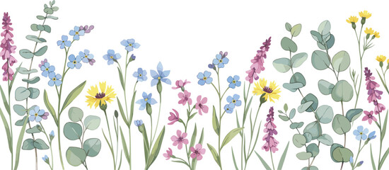 Colorful wildflower horizontal border with blue forget me nots yellow cornflowers purple blossoms and eucalyptus leaves botanical vector illustration set. © Rubel