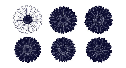 Fototapeta premium Stylish Botanical Gerbera Daisy Bloom Vector Art Set Outline and Filled Floral Graphics