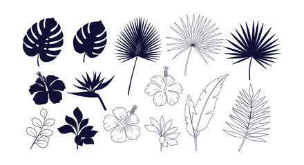 Tropical Leaves Exotic Flowers Botanical Collection Monstera Palm Hibiscus Silhouette Outline © vectorial