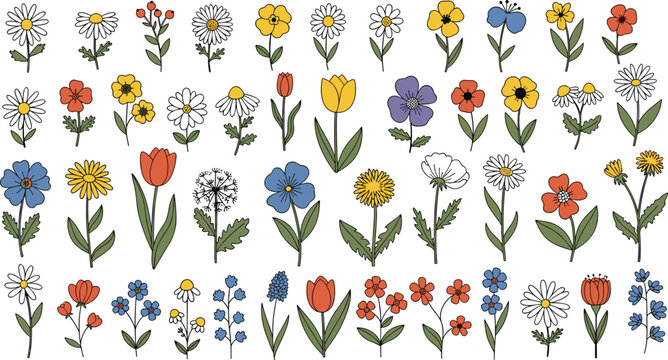 Set of hand drawn colorful flower illustrations, botanical garden floral elements, spring blossoms, summer plants, meadow wildflowers, vector graphics, nature.