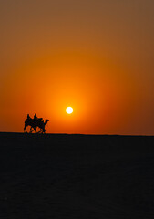 Ramadan Kareem Background Photo, Camel Caravan in the Sunset Time, Doha Desert, Doha Qatar