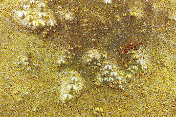 Sfondo astratto dorato