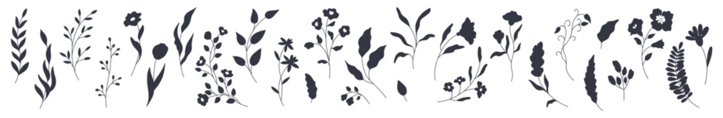 Fototapeta premium Set of elegant black silhouettes of flowers, leaves and branches. Hand drawn vector botanical elements isolated on a white background
