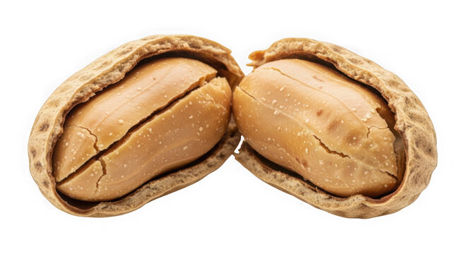 Split open pecan nuts with brown shells and kernels isolated on transparent background