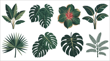 Premium artistic icon vector set of exotic green tropical leaves and flowers including monstera, palm, hibiscus, fern, calathea and philodendron designed in a rare organic geometric fusion style. © Afroza