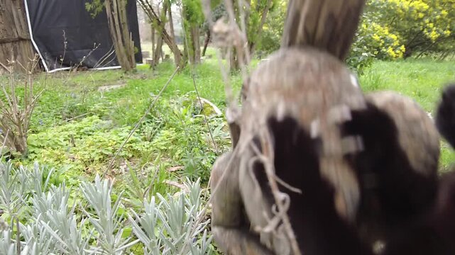 Black stray cat on green grass knocking over a traditional African wooden statue and running away. Action vertical shot, dynamic movement, mischief and curiosity concept.