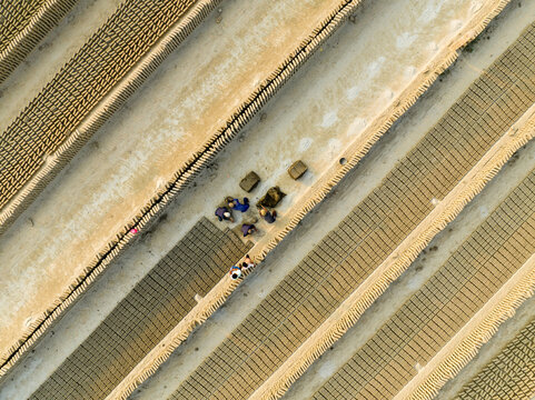 Aerial view of workers laying out bricks to dry under the sun in geometric patterns, creating a textured landscape, Aminbazar, Dhaka Division, Bangladesh.