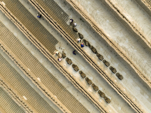 Aerial view of workers toiling in the clay fields, shaping mud into bricks under the sun, Aminbazar, Dhaka Division, Bangladesh.