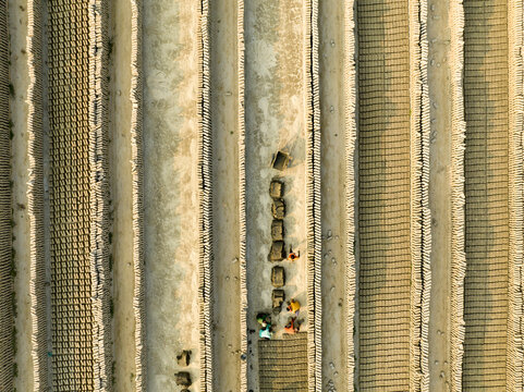 Aerial view of geometric patterns of agricultural fields, with farmers tending to the land in rhythmic harmony, Aminbazar, Dhaka Division, Bangladesh.