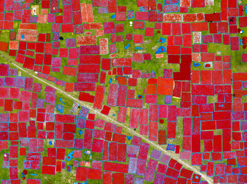 Aerial view of vibrant red rectangular shapes contrasting with green patches, creating a vivid tapestry of rural land, Tentulia, Rangpur Division, Bangladesh.