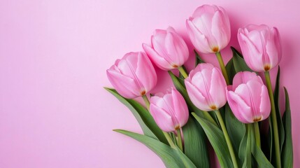 Obraz premium Beautiful pink tulips arranged on a soft rose background with plenty of space for custom text and decorations