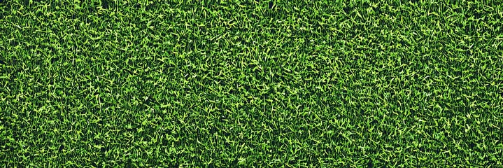 Obraz premium Vibrant Green Lawn Overhead View Freshly Cut Grass Perfect for Digital Art and Outdoor Themes