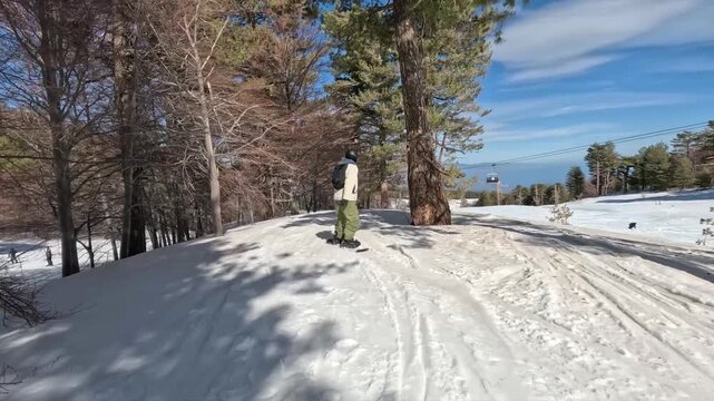 Snowboarder che scia fuori pista , tra gli alberi del boschetto di Piano Provenzana, sul vulcano Etna, Linguaglossa, Sicilia 