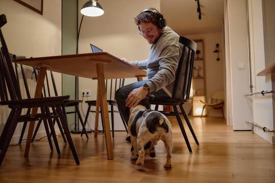 Caucasian man wearing headphones sitting at table using laptop, smiling while reaching down to pet small dog standing on wooden floor in modern home interior