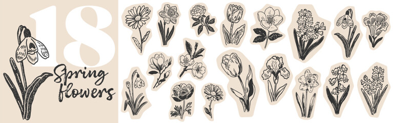 Naklejka premium Hand drawn spring flower doodles and botanical sketches for floral design and garden concepts