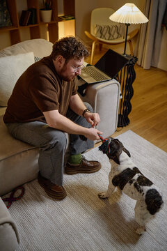 Caucasian man sitting on sofa playing tug of war with dog in living room, man holding rope toy while dog pulling, laptop on table in background