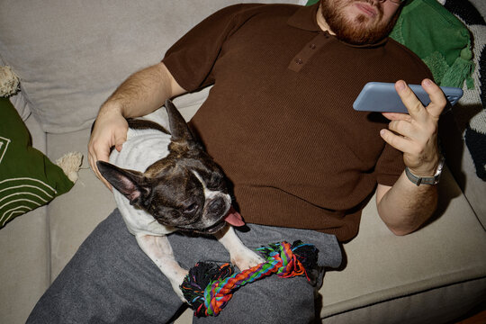 Caucasian young adult man reclining on sofa using smartphone with French Bulldog resting on lap, dog panting with tongue out and colorful rope toy between front paws