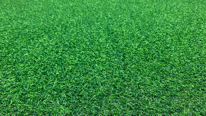 Fototapeta premium High Angle View of Lush Green Grass Lawn Texture Background
