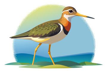 Obraz premium Elegant shorebird with colorful plumage standing on sandy beach against vibrant sky and calm ocean waves in stunning nature illustration