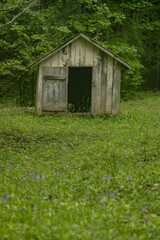 Obraz premium Small Historic Shed Along the Lakeshore Trail in the Smokies