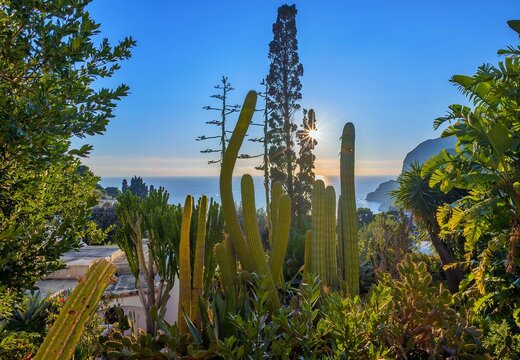 Isola di Capri (Campania, Italy) - The beautiful Capri island in the Naples gulf with awesome natural attractions. Here in particular with a typical landmark.
