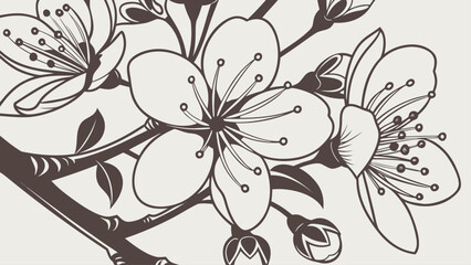 white flower on black background