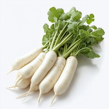 Bunch of fresh white daikon radishes with green leaves isolated on a white background