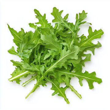 Fresh green arugula leaves isolated on a white background