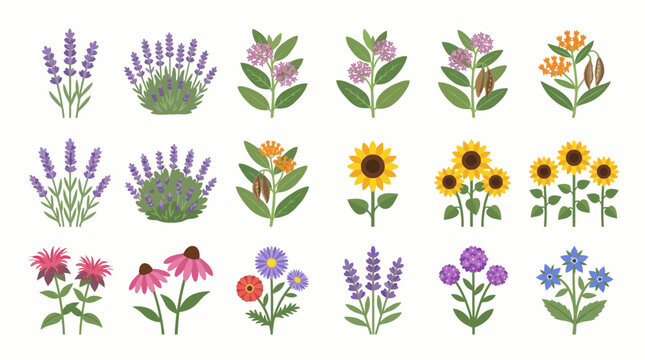 Collection of Various Hand Drawn Flowers.