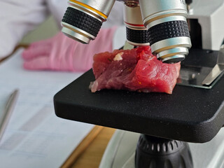Microscope examines meat sample for quality and safety in laboratory setting for food science...