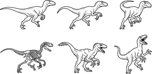 Black and white Velociraptor illustrations including skeletal, feathered, and roaring versions, showcasing dinosaur evolution, paleontology artwork, and scientific artistic representation © Shaymal