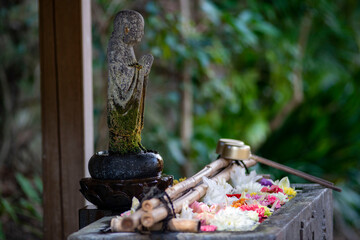 鎌倉26223　安国論寺6　花手水