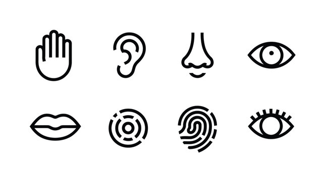 Simple line drawings depicting human senses and facial features