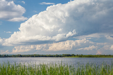 Sunny summer landscape with river and field