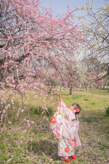 梅の花と着物姿の子供の後ろ姿